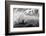 Pacific Moves I-Nathan Larson-Framed Photographic Print