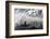 Pacific Moves I-Nathan Larson-Framed Photographic Print