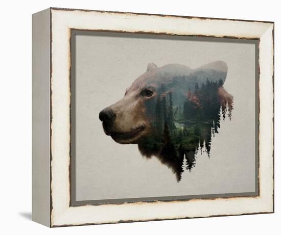 Pacific Northwest Black Bear-Davies Babies-Framed Stretched Canvas