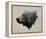 Pacific Northwest Black Bear-Davies Babies-Framed Stretched Canvas