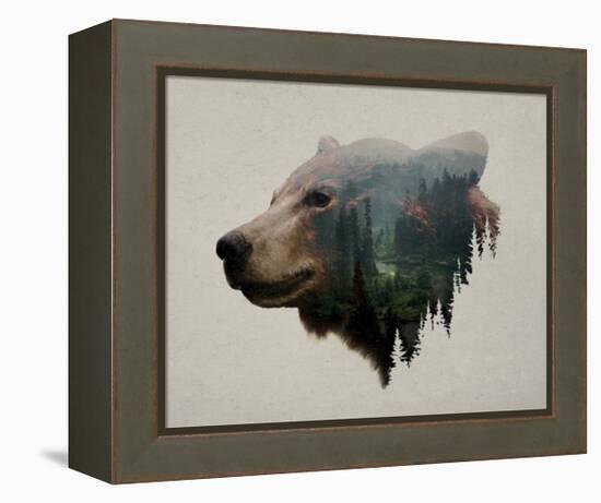 Pacific Northwest Black Bear-Davies Babies-Framed Stretched Canvas