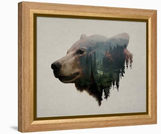 Pacific Northwest Black Bear-Davies Babies-Framed Stretched Canvas