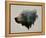 Pacific Northwest Black Bear-Davies Babies-Framed Stretched Canvas