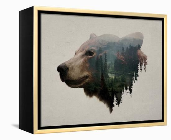 Pacific Northwest Black Bear-Davies Babies-Framed Stretched Canvas