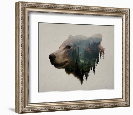 Pacific Northwest Black Bear-Davies Babies-Framed Art Print