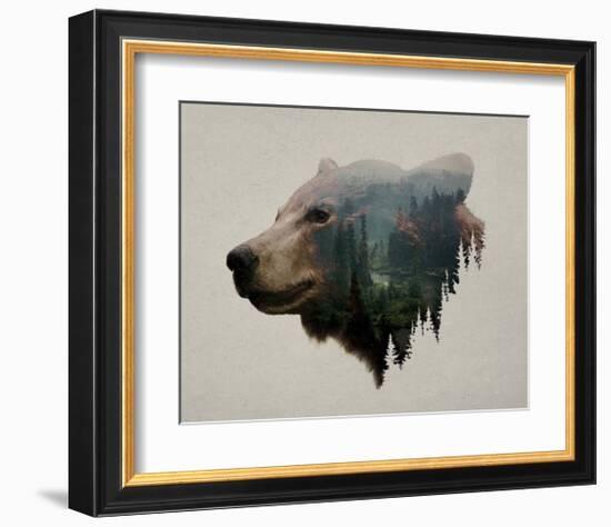 Pacific Northwest Black Bear-Davies Babies-Framed Art Print