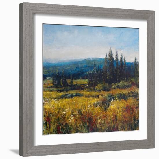 Pacific Northwest I-Tim O'toole-Framed Art Print