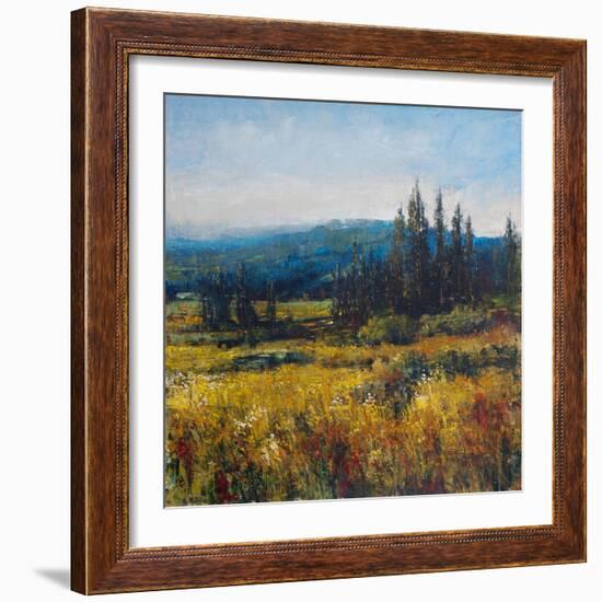 Pacific Northwest I-Tim O'toole-Framed Art Print