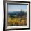 Pacific Northwest I-Tim O'toole-Framed Art Print