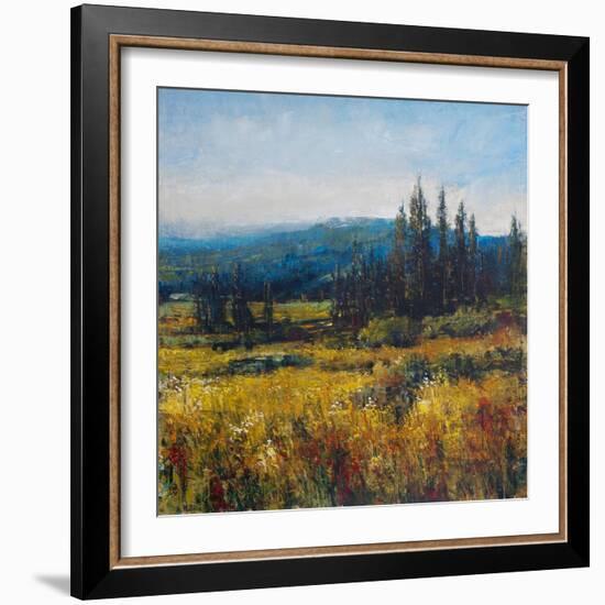 Pacific Northwest I-Tim O'toole-Framed Art Print