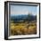 Pacific Northwest I-Tim O'toole-Framed Art Print