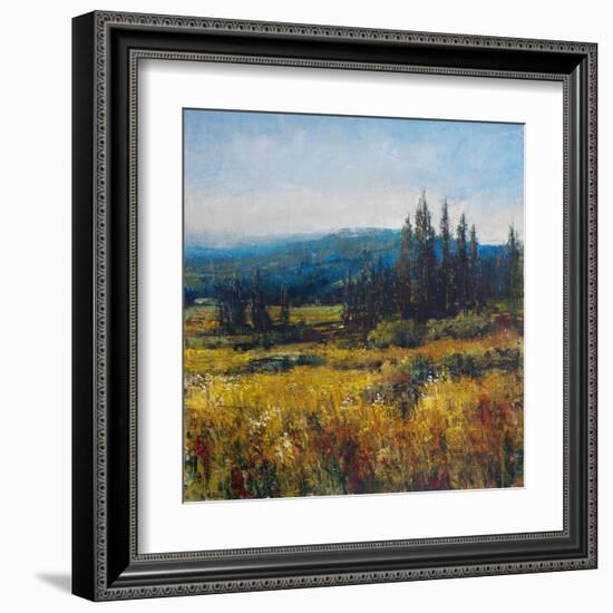 Pacific Northwest I-Tim O'toole-Framed Art Print