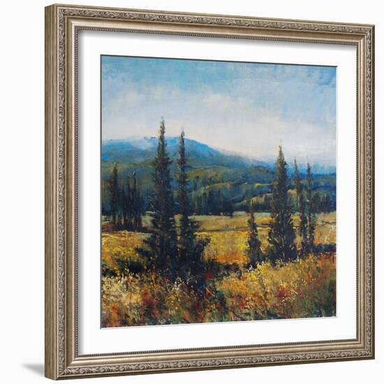 Pacific Northwest II-Tim O'toole-Framed Art Print