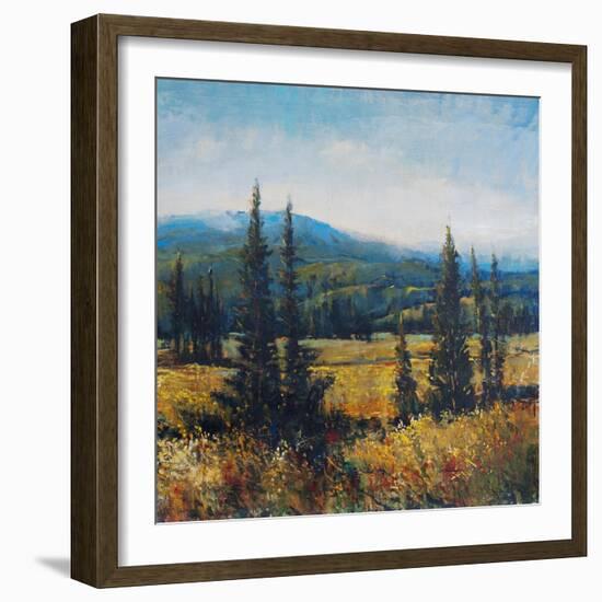 Pacific Northwest II-Tim O'toole-Framed Art Print