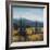 Pacific Northwest II-Tim O'toole-Framed Art Print