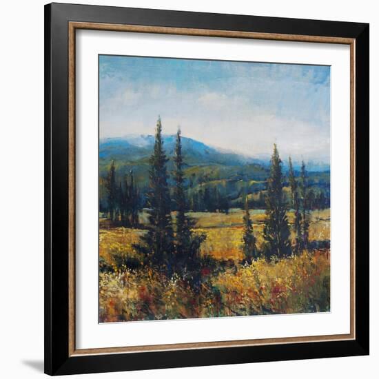 Pacific Northwest II-Tim O'toole-Framed Art Print