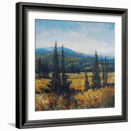 Pacific Northwest II-Tim O'toole-Framed Art Print