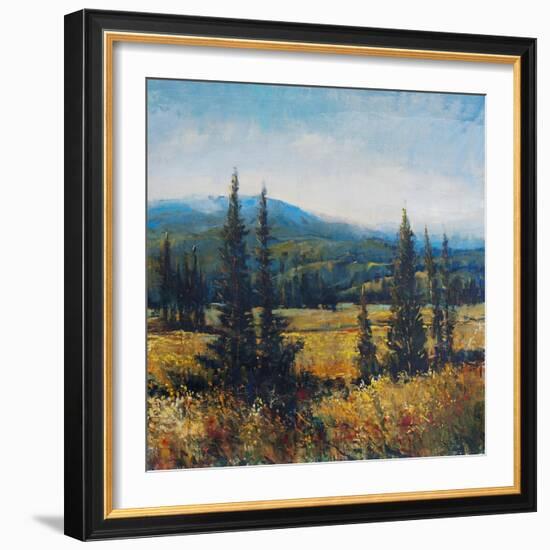 Pacific Northwest II-Tim O'toole-Framed Art Print