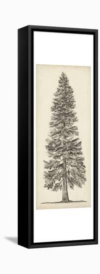 Pacific Northwest Tree Sketch I-Melissa Wang-Framed Stretched Canvas