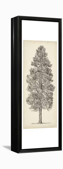 Pacific Northwest Tree Sketch III-Melissa Wang-Framed Stretched Canvas