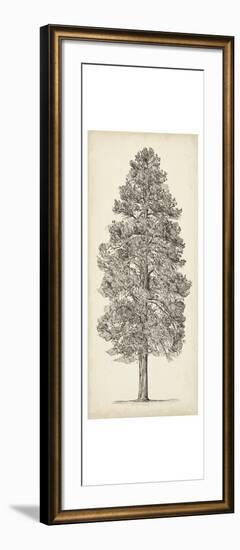 Pacific Northwest Tree Sketch III-Melissa Wang-Framed Art Print