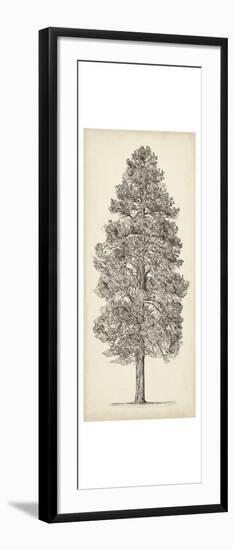 Pacific Northwest Tree Sketch III-Melissa Wang-Framed Art Print