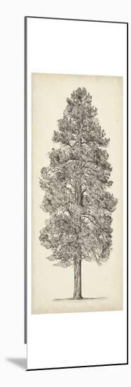 Pacific Northwest Tree Sketch III-Melissa Wang-Mounted Art Print