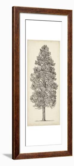 Pacific Northwest Tree Sketch III-Melissa Wang-Framed Art Print