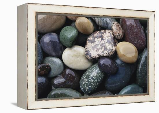 Pacific Northwest USA, Colorful River Rocks-Michele Westmorland-Framed Premier Image Canvas