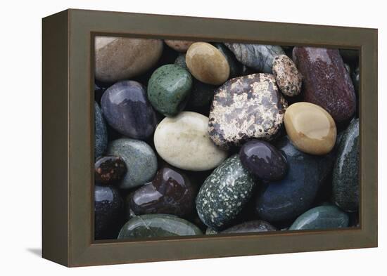 Pacific Northwest USA, Colorful River Rocks-Michele Westmorland-Framed Premier Image Canvas