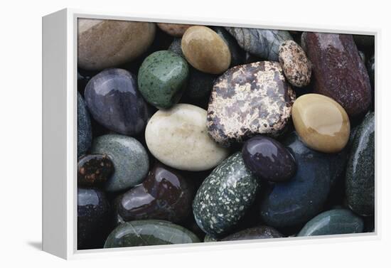 Pacific Northwest USA, Colorful River Rocks-Michele Westmorland-Framed Premier Image Canvas