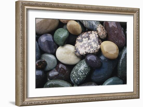 Pacific Northwest USA, Colorful River Rocks-Michele Westmorland-Framed Photographic Print