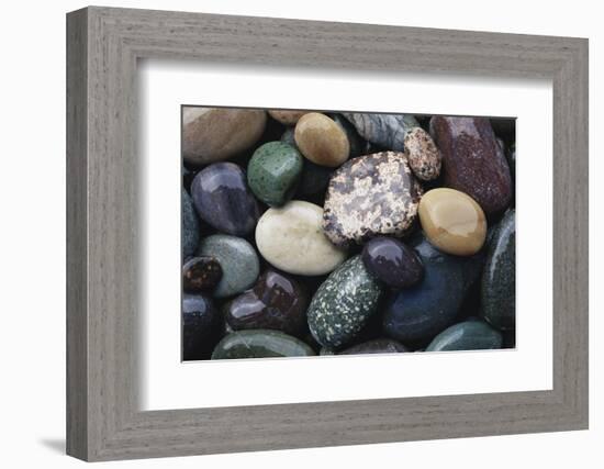 Pacific Northwest USA, Colorful River Rocks-Michele Westmorland-Framed Photographic Print