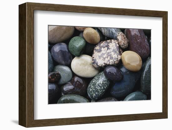 Pacific Northwest USA, Colorful River Rocks-Michele Westmorland-Framed Photographic Print