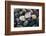 Pacific Northwest USA, Colorful River Rocks-Michele Westmorland-Framed Photographic Print