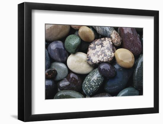 Pacific Northwest USA, Colorful River Rocks-Michele Westmorland-Framed Photographic Print