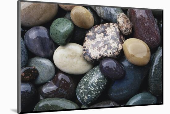 Pacific Northwest USA, Colorful River Rocks-Michele Westmorland-Mounted Photographic Print