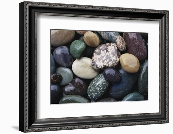 Pacific Northwest USA, Colorful River Rocks-Michele Westmorland-Framed Photographic Print