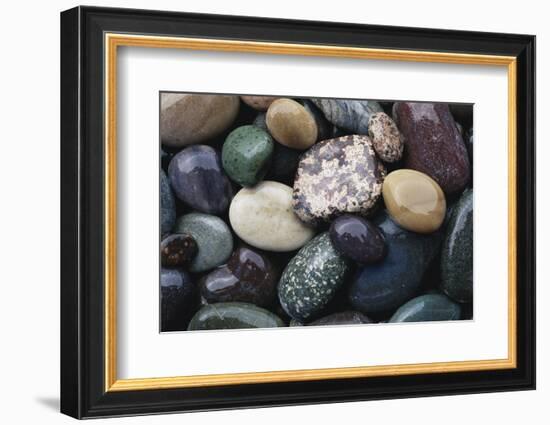 Pacific Northwest USA, Colorful River Rocks-Michele Westmorland-Framed Photographic Print