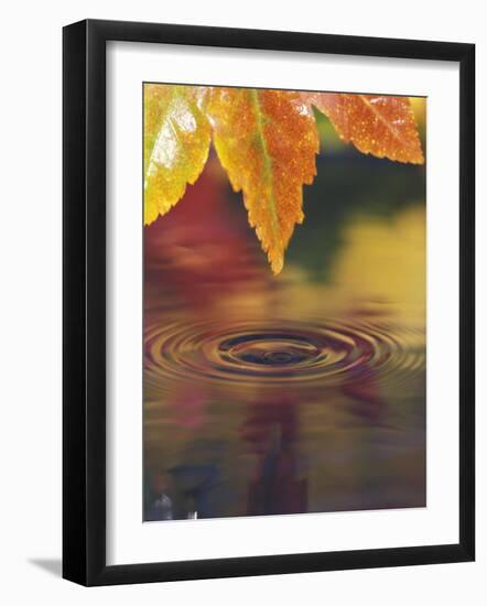 Pacific Northwest, USA-Stuart Westmoreland-Framed Photographic Print