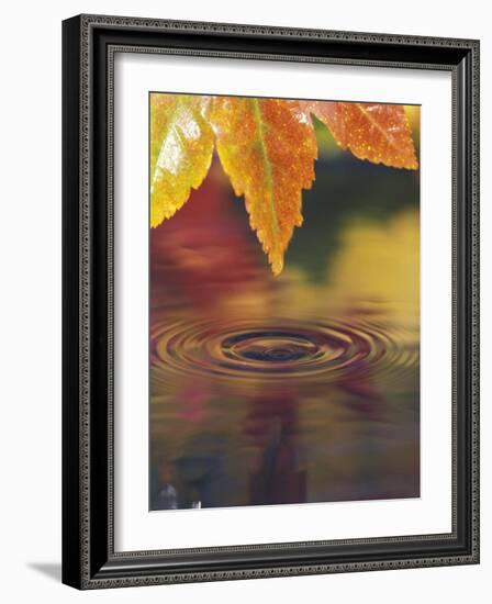 Pacific Northwest, USA-Stuart Westmoreland-Framed Photographic Print