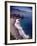 Pacific Ocean Along the Coast of Oregon-Eliot Elisofon-Framed Photographic Print