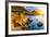 Pacific Ocean Coast, California, USA-sborisov-Framed Photographic Print