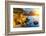 Pacific Ocean Coast, California, USA-sborisov-Framed Photographic Print