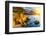 Pacific Ocean Coast, California, USA-sborisov-Framed Photographic Print