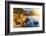 Pacific Ocean Coast, California, USA-sborisov-Framed Photographic Print