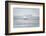 Pacific Ocean Seascape No. 2-Murray Bolesta-Framed Photographic Print