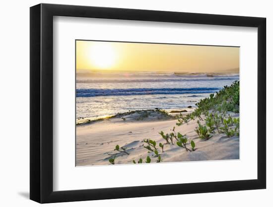 Pacific Ocean Seascape No. 5-Murray Bolesta-Framed Photographic Print