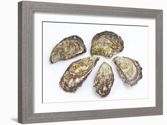 Pacific Oysters-David Nunuk-Framed Photographic Print