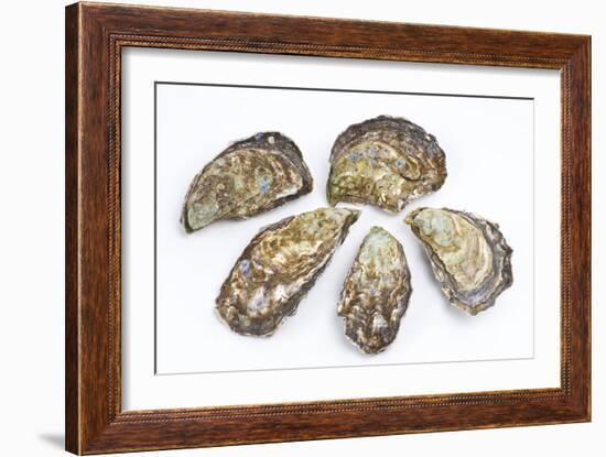 Pacific Oysters-David Nunuk-Framed Photographic Print